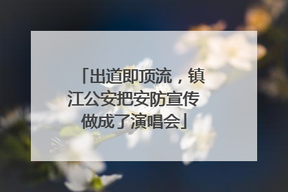 出道即顶流，镇江公安把安防宣传做成了演唱会